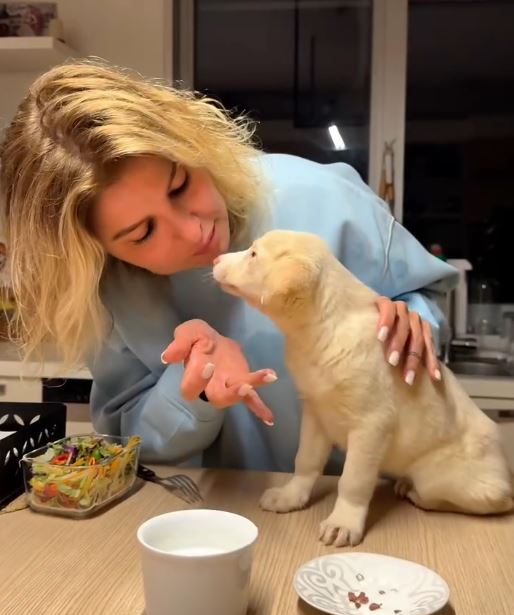 Gülben Ergen’den Takdir Toplayan Davranış Barınaktan Minik Bir Yavru Sahiplendi (2)