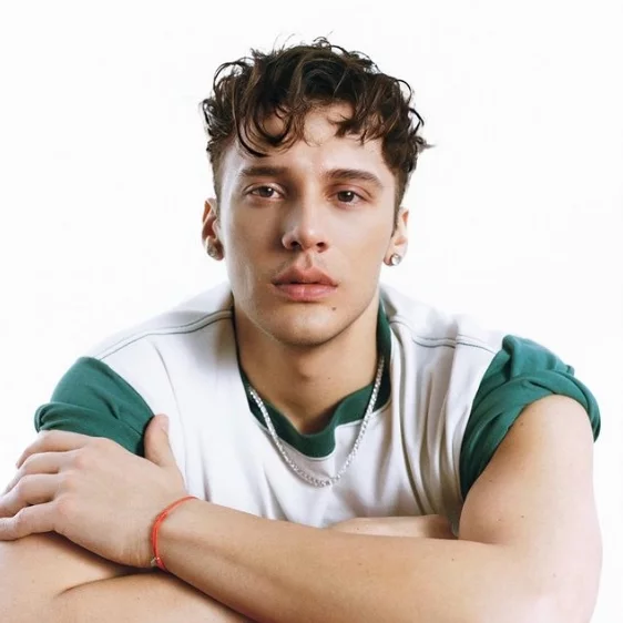 Edis, Yurt Dışı Dönüşünde Gözaltına Alındı