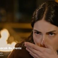 Diziler