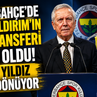 Spor