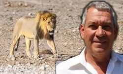 Alman İş İnsanı Safari Kampında Aslan Saldırısıyla Yaşamını Yitirdi