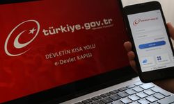Mutlaka e-Devlet’ten Yapmanız Gereken Tek Şey!