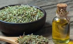 Doğanın Gücü: Kekik ve Karvakrol Kanser Tedavisinde Umut Işığı Oluyor