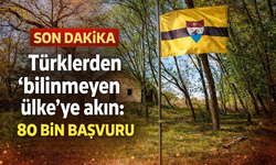 Türklerden “bilinmeyen ülke”ye akın: 80 bin başvuru