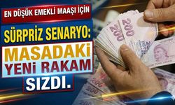 En Düşük Emekli Maaşı İçin Sürpriz Senaryo: Masadaki Yeni Rakam Sızdı