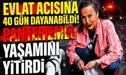 Evlat Acısına 40 Gün Dayanabildi! Panter Emel Yaşamını Yitirdi