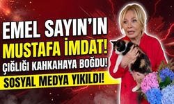Emel Sayın'ın "Mustafa İmdat!" Çığlığı Sosyal Medyayı Kahkahaya Boğdu