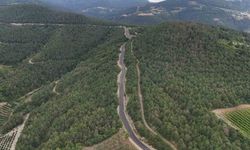 Geyve'de 20 Dakikalık Yol 5 Dakikaya Düştü: Alıplar'da Asfalt Sevinci