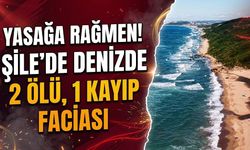 Şile'de Yasağa Rağmen Denize Giren 3 Kişiden 2'si Hayatını Kaybetti, 1 Kişi Kayıp