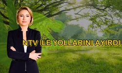 Haberci Ilgaz Gürsoy NTV ile Yollarını Ayırdı