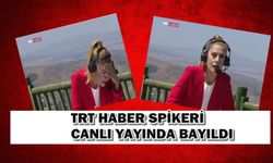 TRT Spikeri Canlı Yayında Sıcaktan Bayıldı