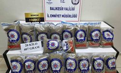 Balıkesir’in Edremit İlçesinde Çay Dedi̇ler Bonzai̇ Çıktı!