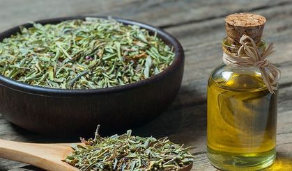 Doğanın Gücü: Kekik ve Karvakrol Kanser Tedavisinde Umut Işığı Oluyor