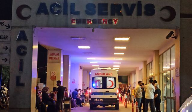 Şanlıurfa'da trafik kazası: 1 ölü, 1 yaralı