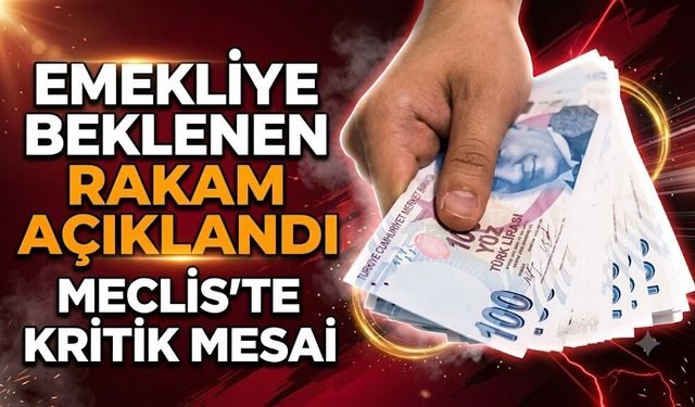 En Düşük Emekli Maaşı İçin Beklenen Rakam Belli Oldu: Meclis'te Kritik Mesai