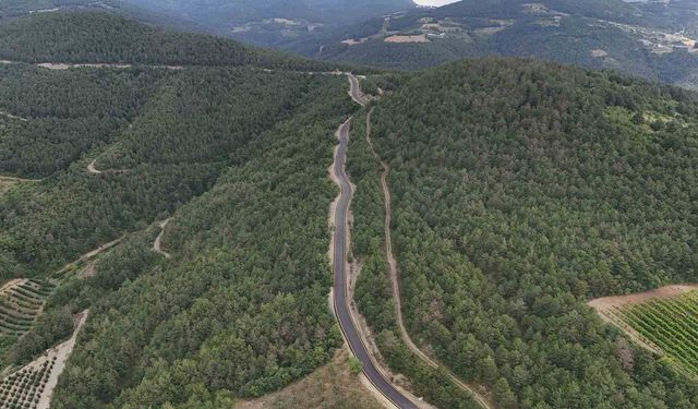 Geyve'de 20 Dakikalık Yol 5 Dakikaya Düştü: Alıplar'da Asfalt Sevinci