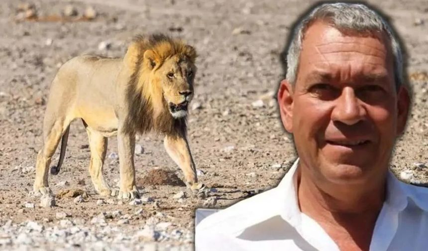 Alman İş İnsanı Safari Kampında Aslan Saldırısıyla Yaşamını Yitirdi