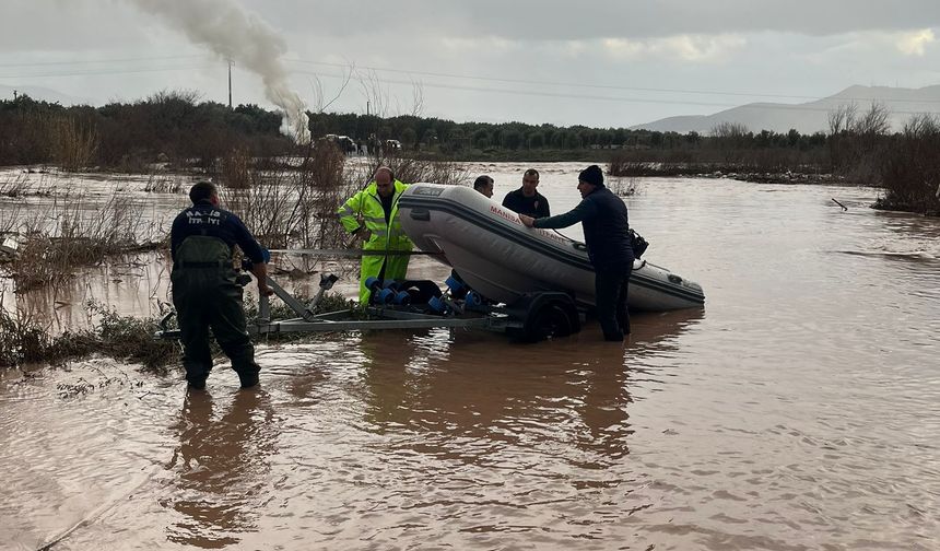 Manisa'da çaya düşen 9 köpek yavrusu kurtarıldı