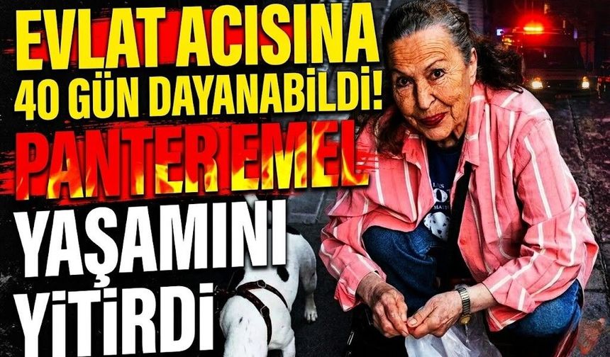 Evlat Acısına 40 Gün Dayanabildi! Panter Emel Yaşamını Yitirdi