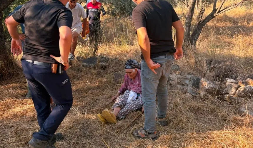 11 Saatlik Mucize! Aydın'da Kayıp Yaşlı Kadın Ormanlık Alanda Sağ Bulundu