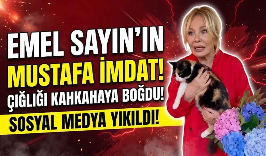 Emel Sayın'ın "Mustafa İmdat!" Çığlığı Sosyal Medyayı Kahkahaya Boğdu